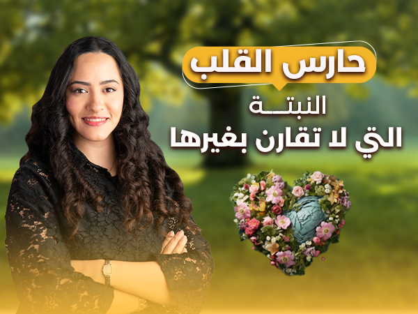 card-img