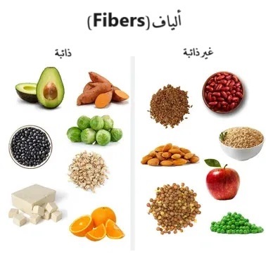 Fibers ألياف	