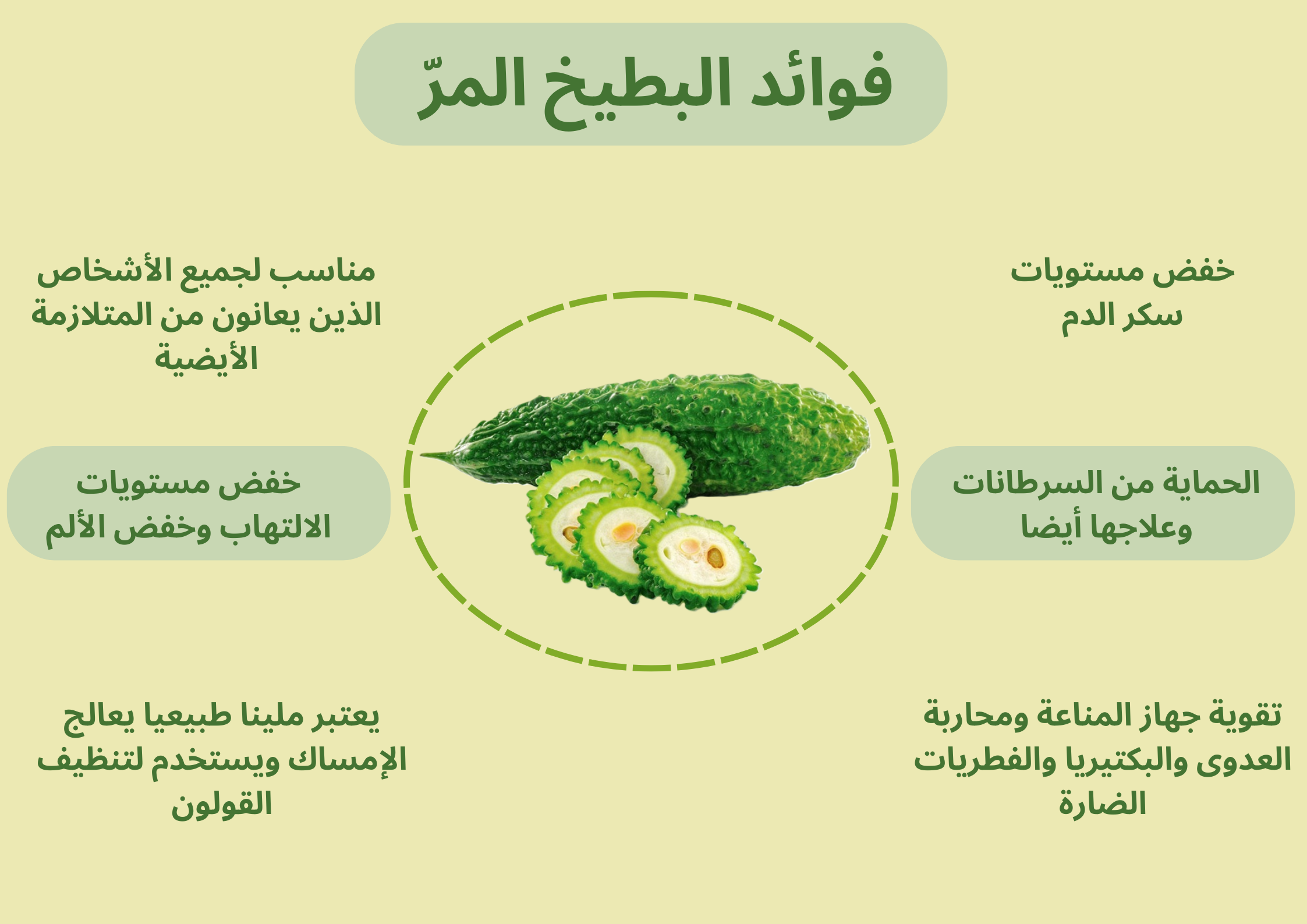 فوائد البطيخ المر	