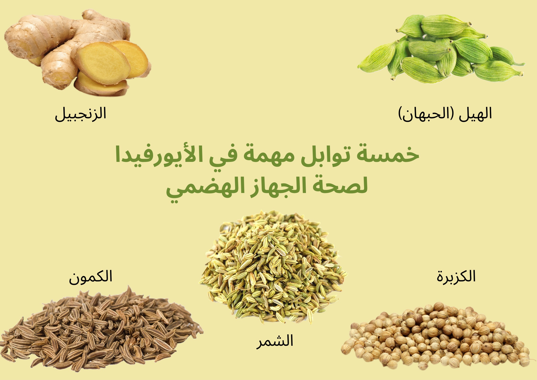 خمسة توابل مهمة في الأيورفيدا لصحة الجهاز الهضمي	