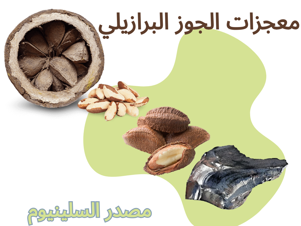معجزات الجوز البرازيلي مصدر السيلينيوم	