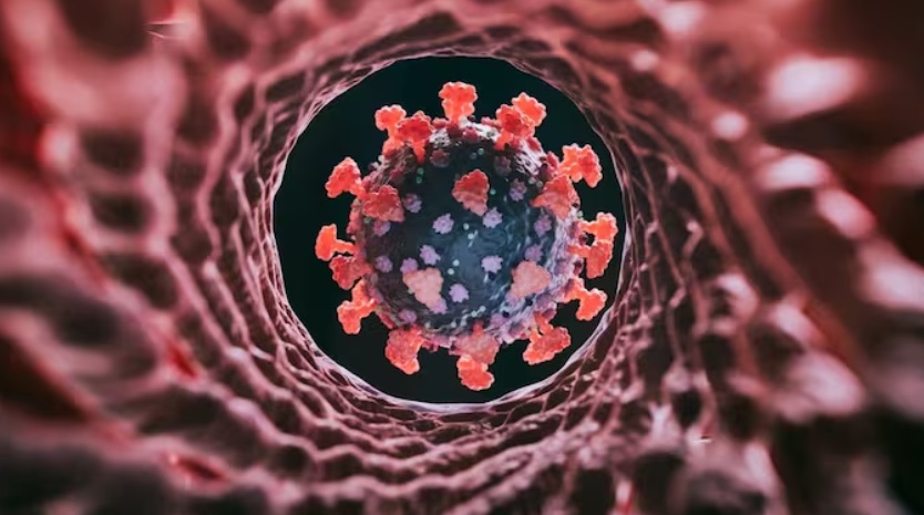 Epstein-Barr virus (EBV)