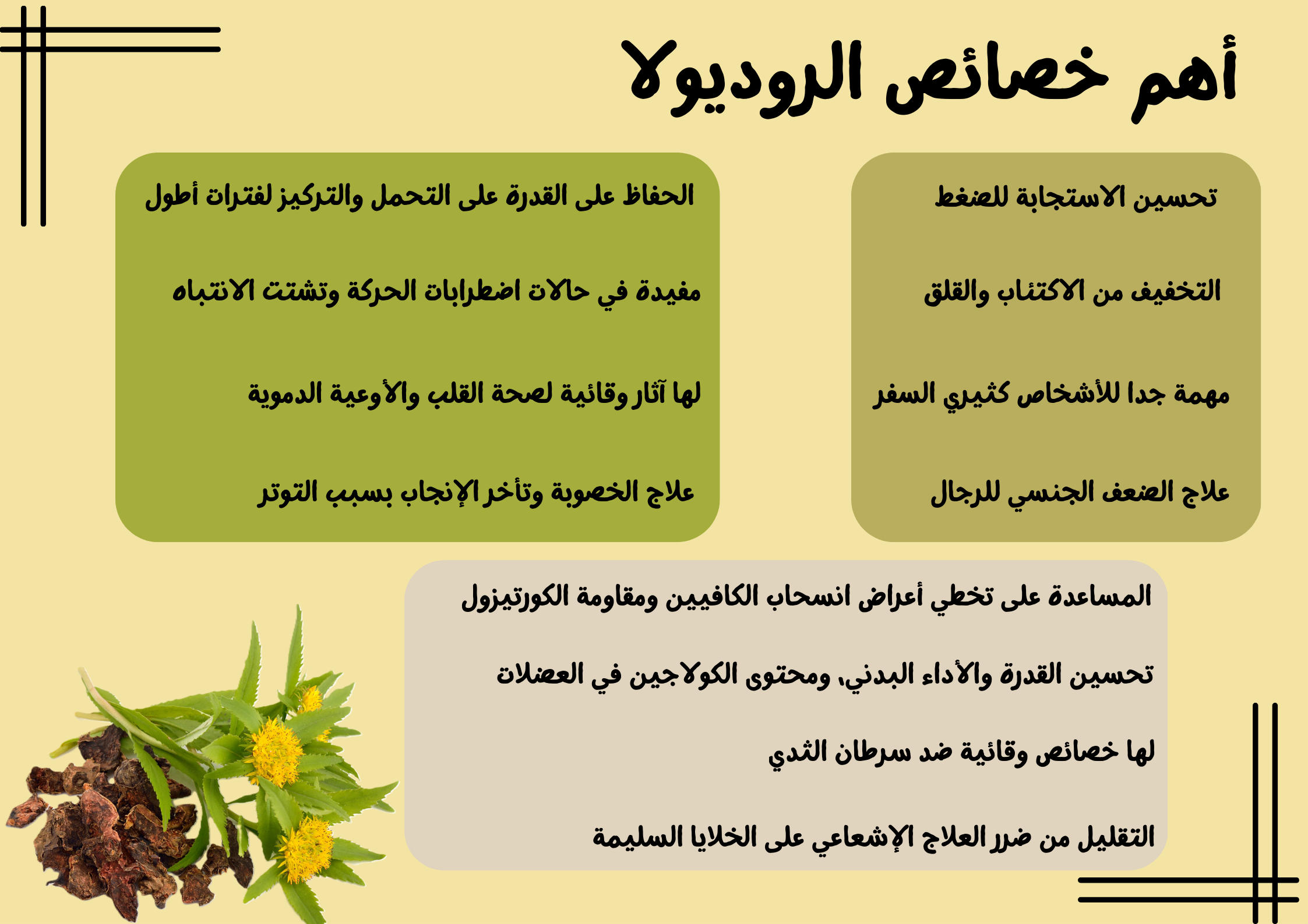 أهم خصائص الروديولا	