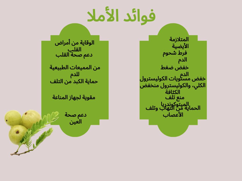فوائد الأملا