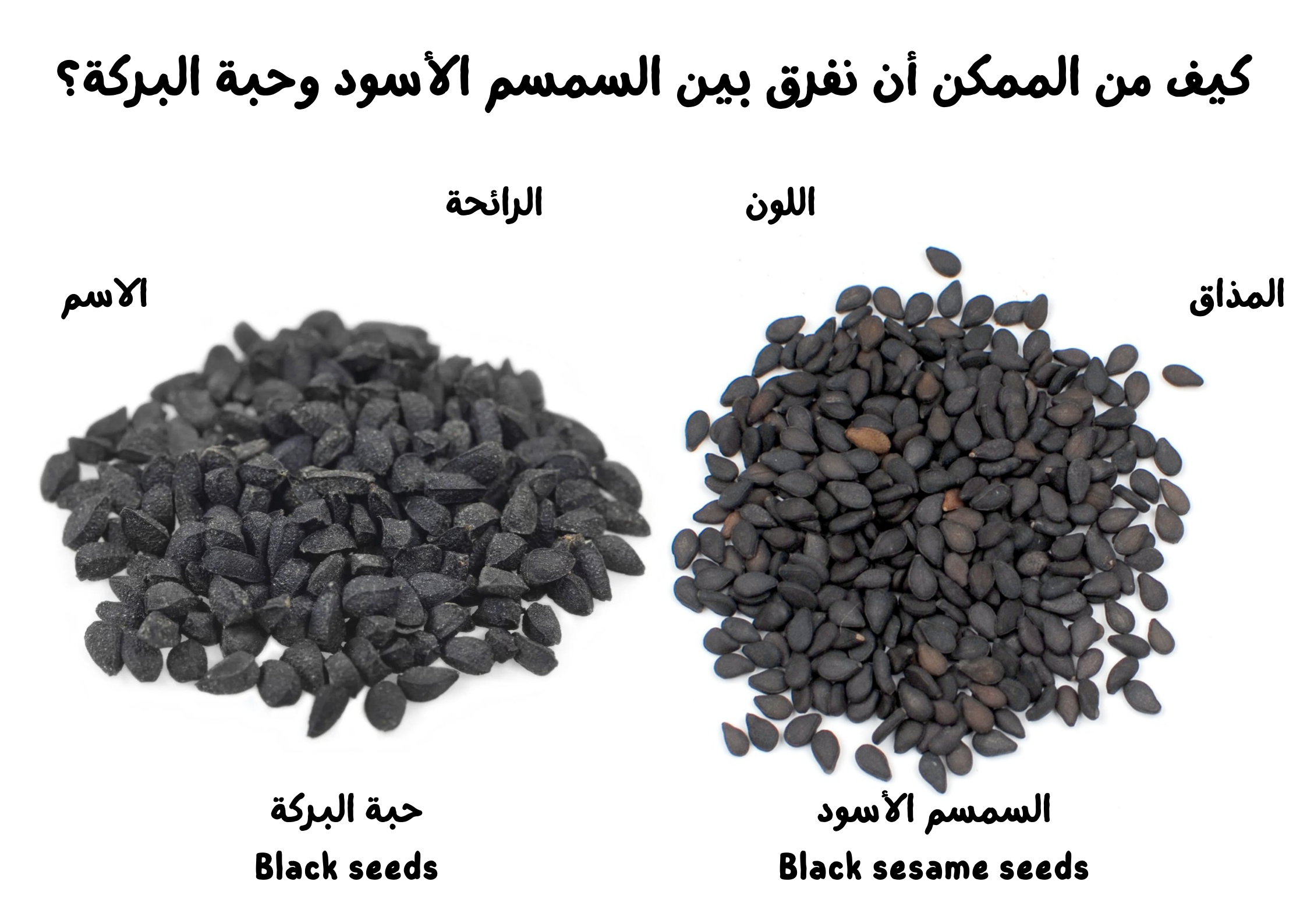 كيف من الممكن أن نفرق بين السمسم الأسود وحبة البركة؟	