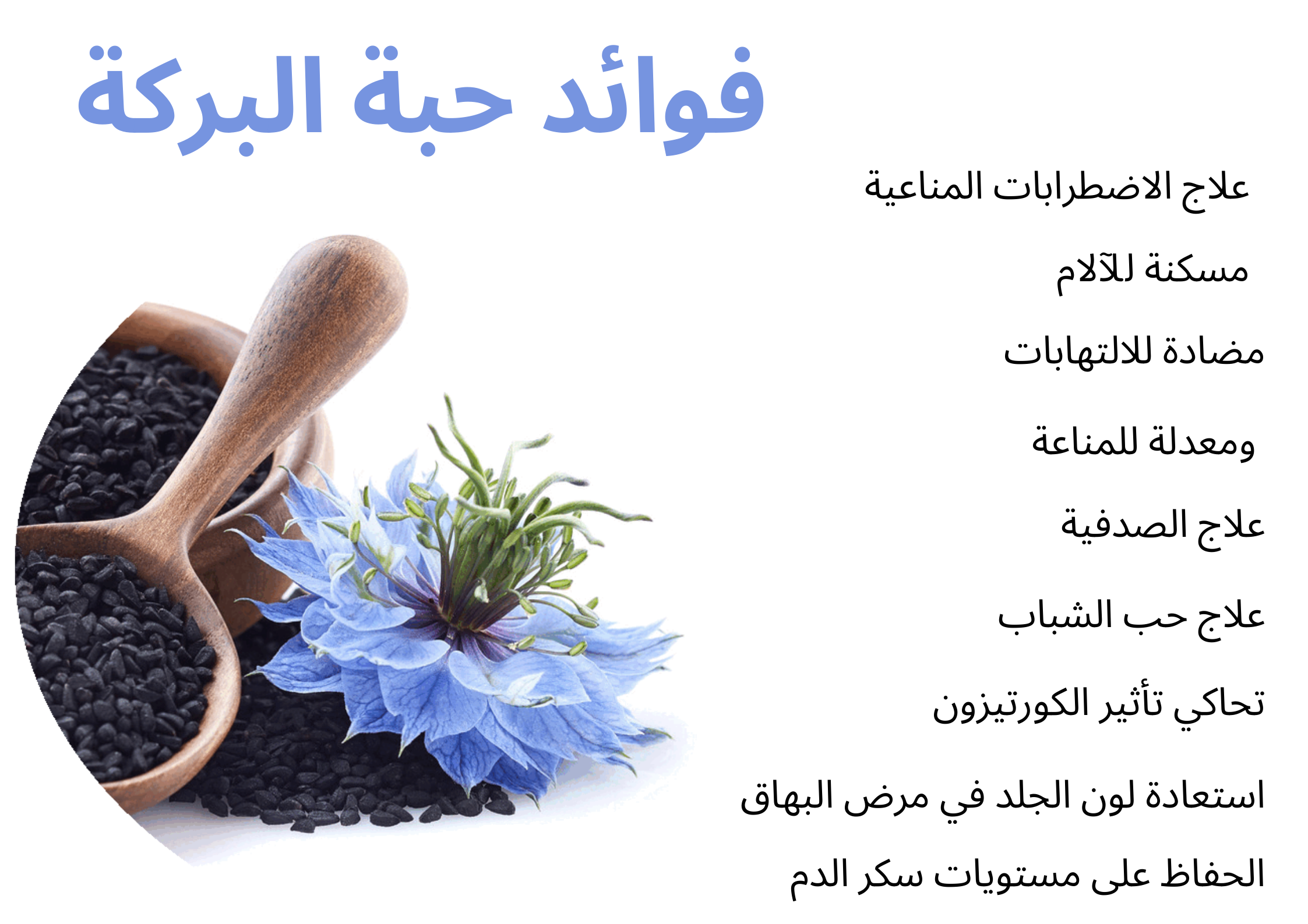فوائد حبة البركة	