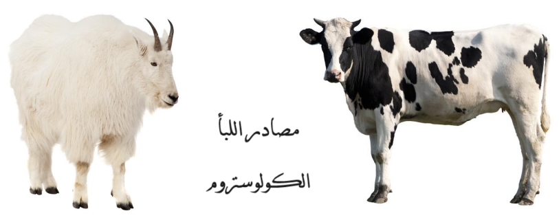 الكولوستروم