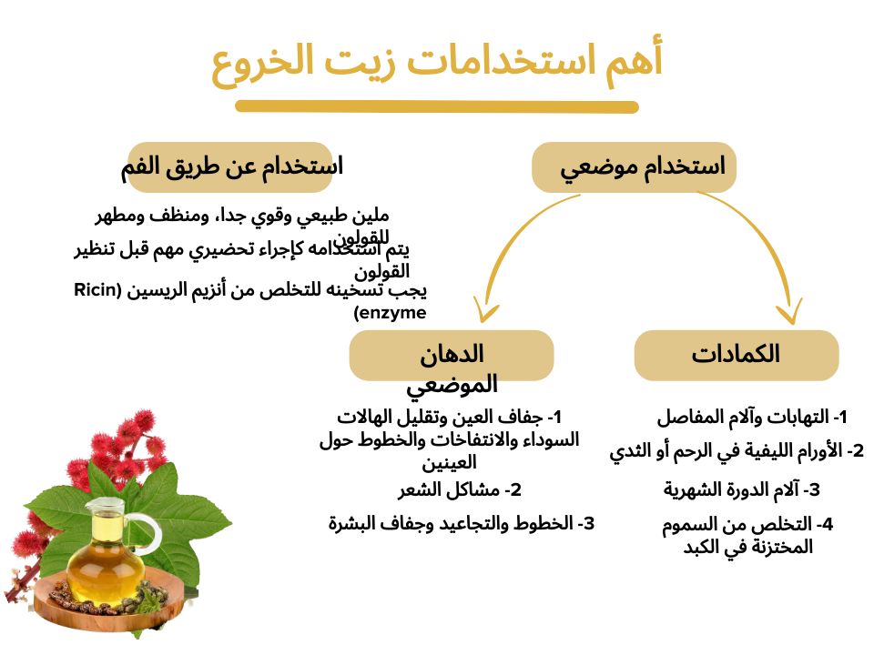 أهم استخدامات زيت الخروع