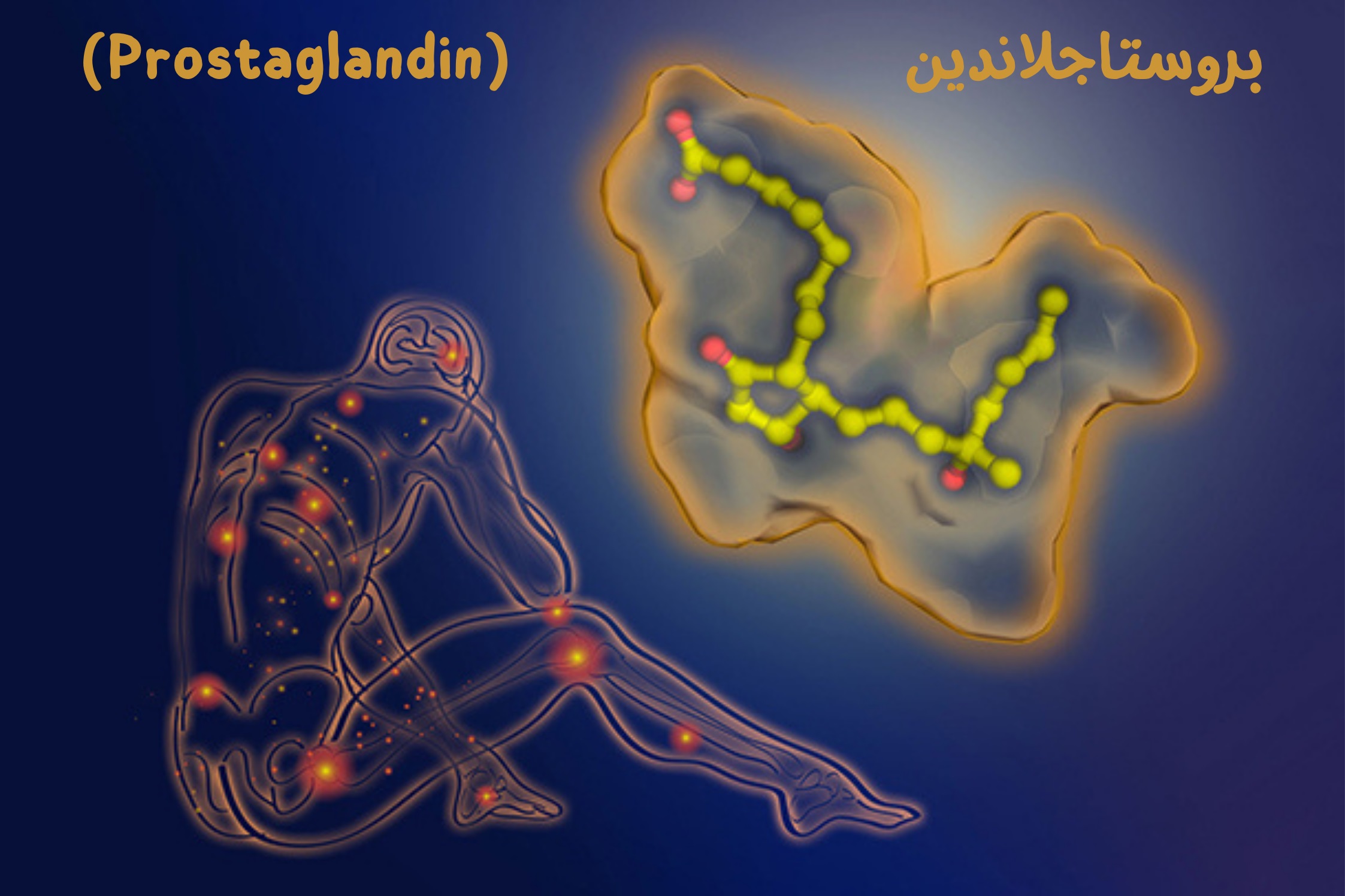 بروستاجلاندين (Prostaglandin)