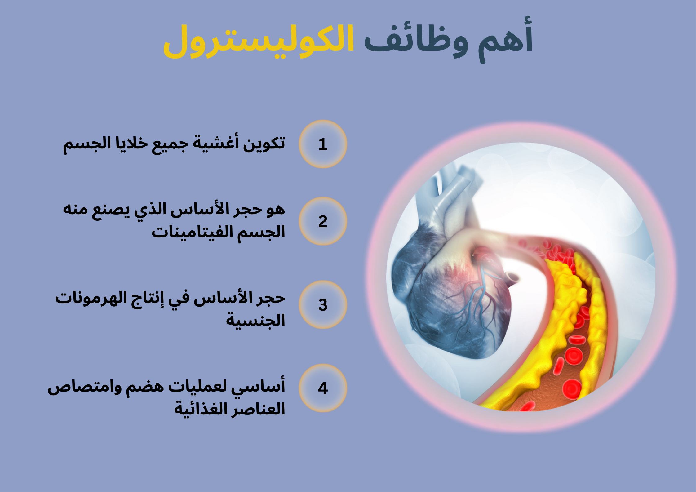 أهم وظائف الكوليسترول	