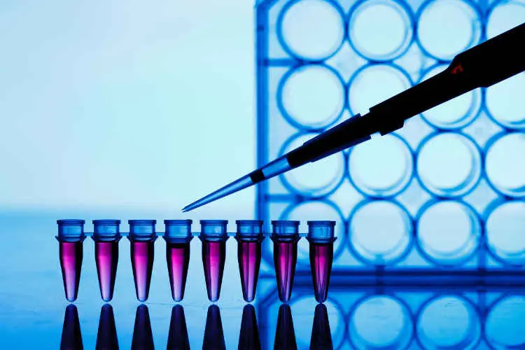 HCV PCR test