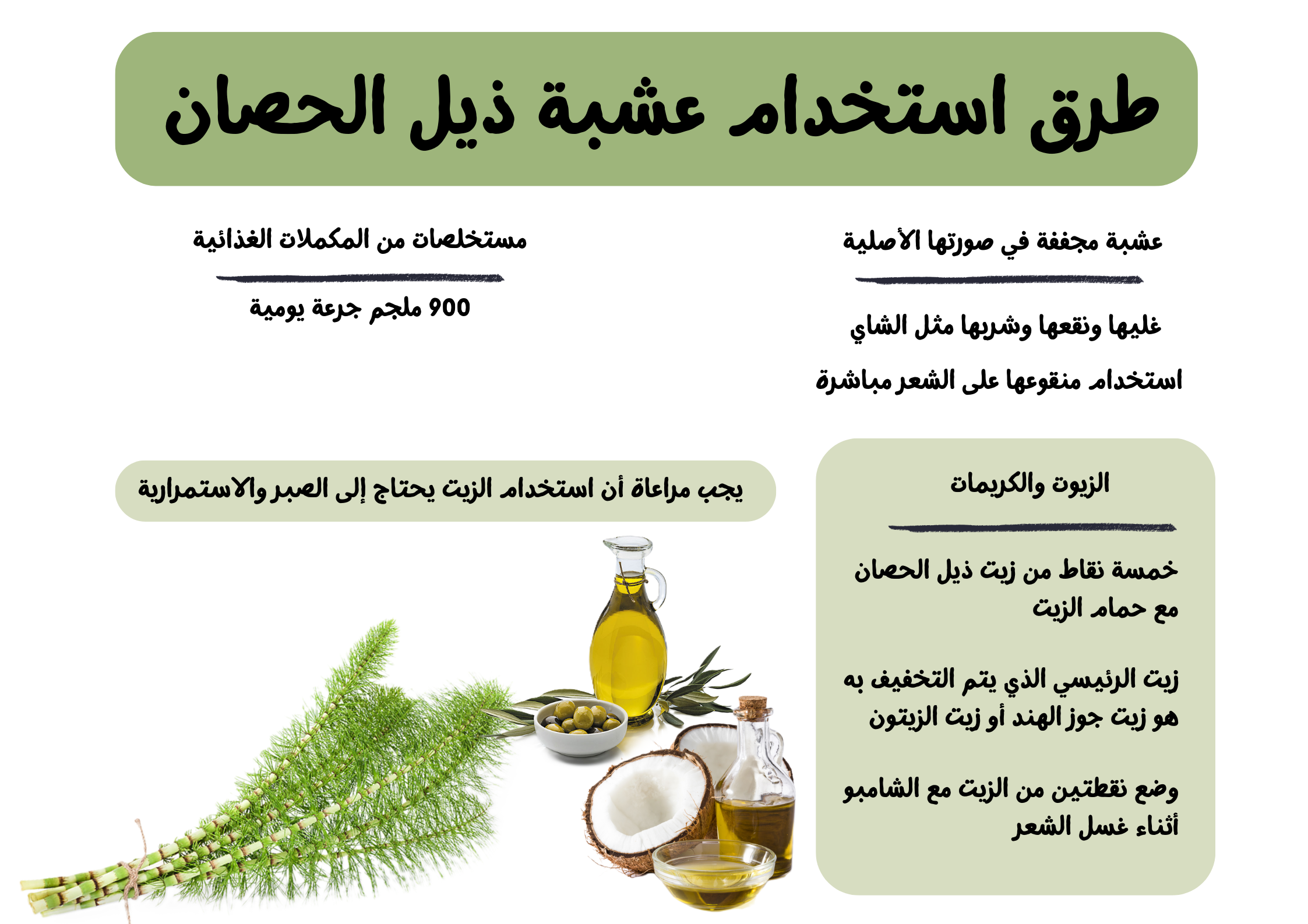 طرق استخدام عشبة ذيل الحصان	