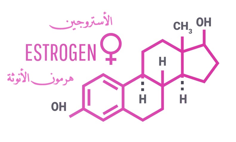 هرمون الأستروجين	