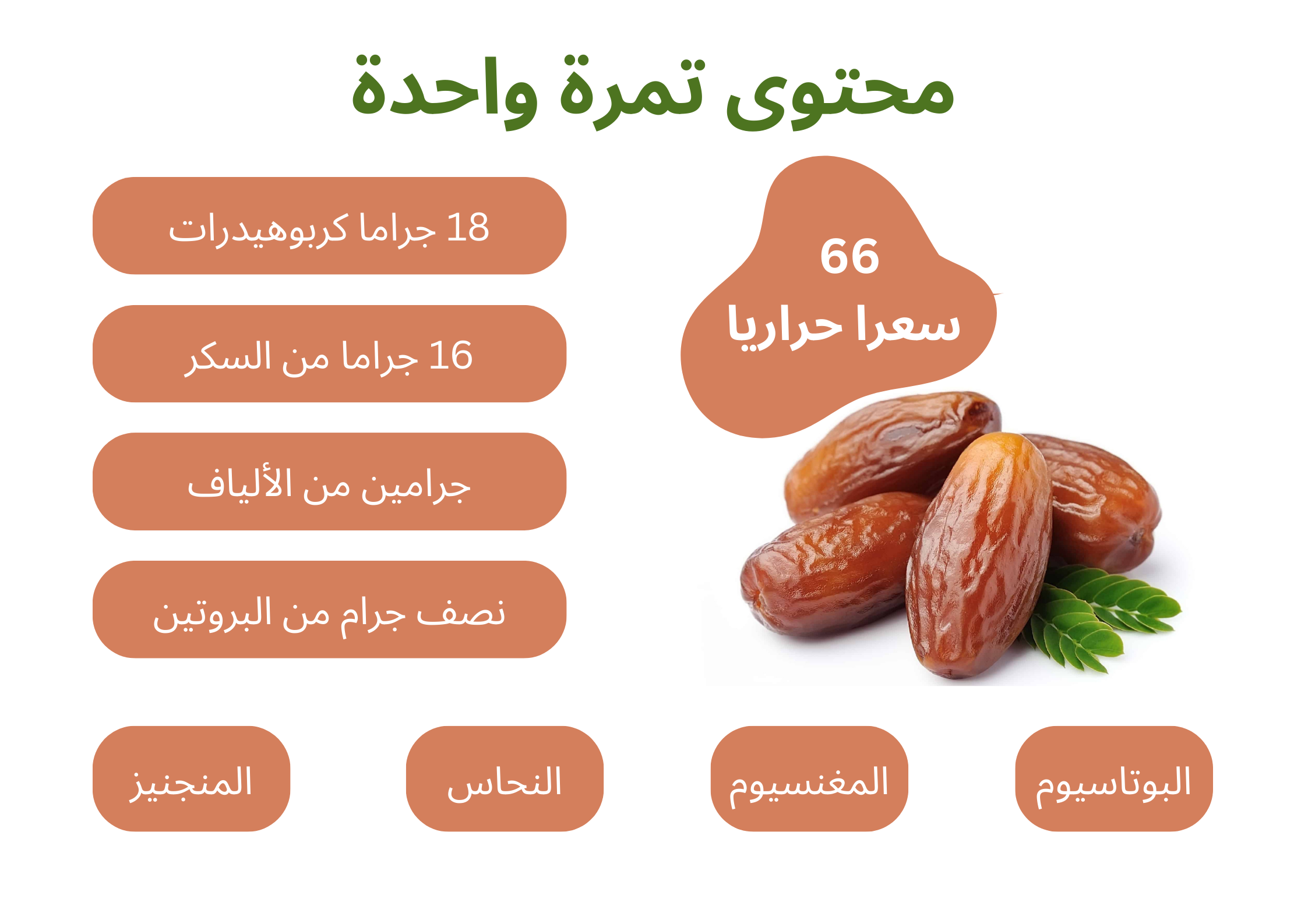 محتوى تمرة واحدة