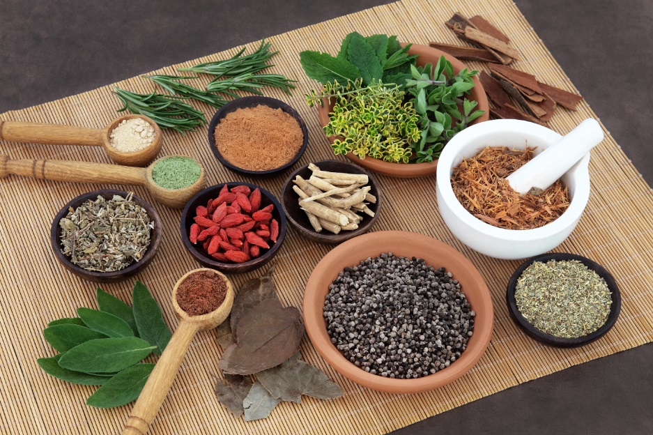 نباتات طبية أيورفيدية أيورفيدا Ayurveda	