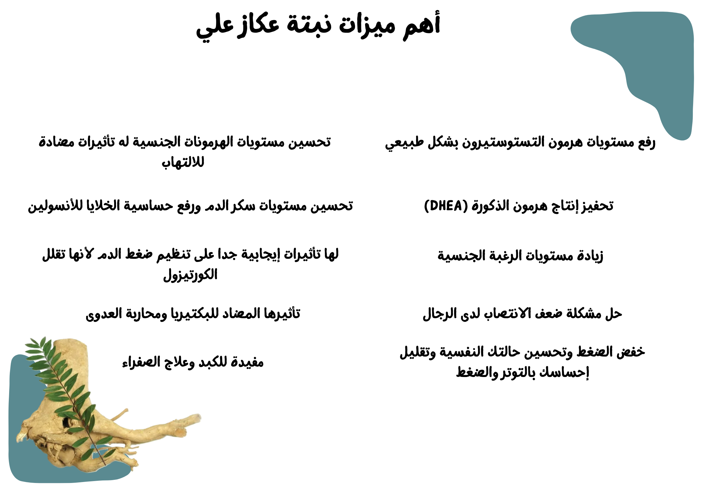 أهم ميزات نبتة عكاز علي