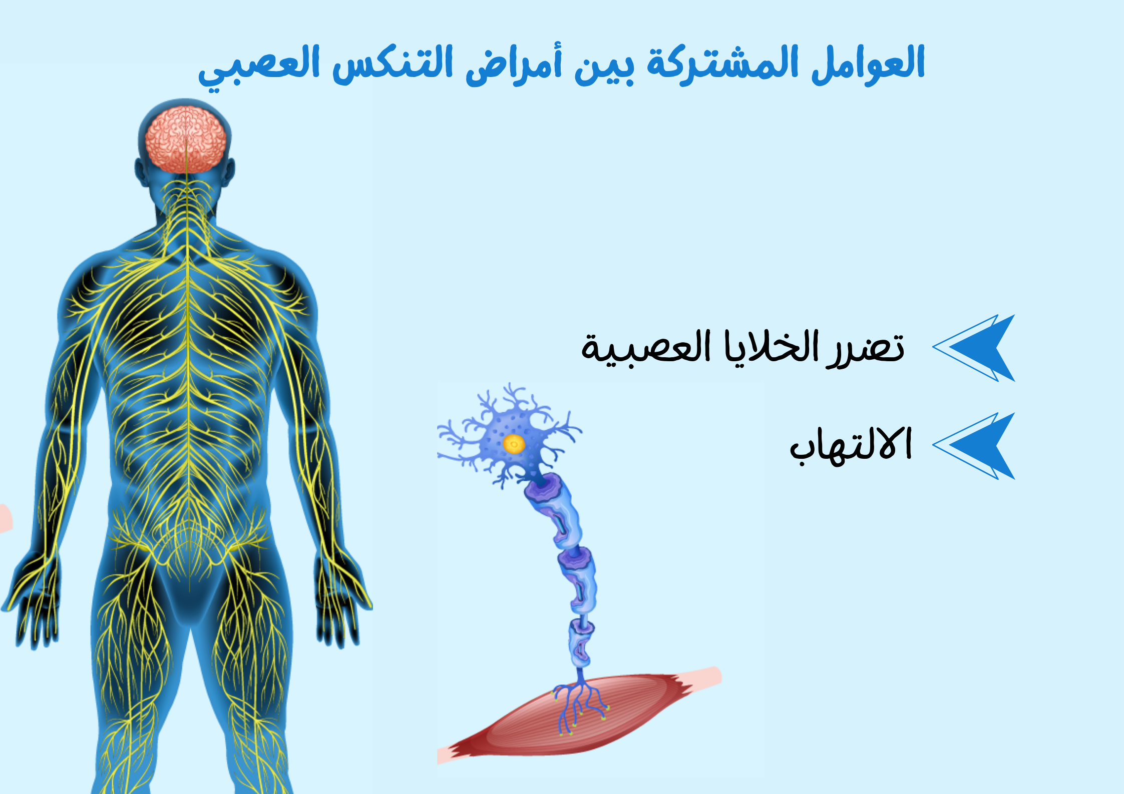 العوامل المشتركة بين أمراض التنكس العصبي	