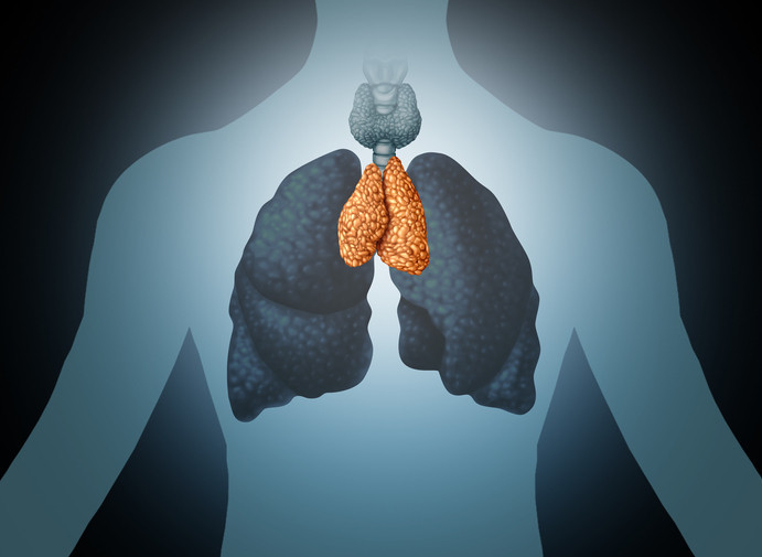 thymus gland الغدة الزعترية	