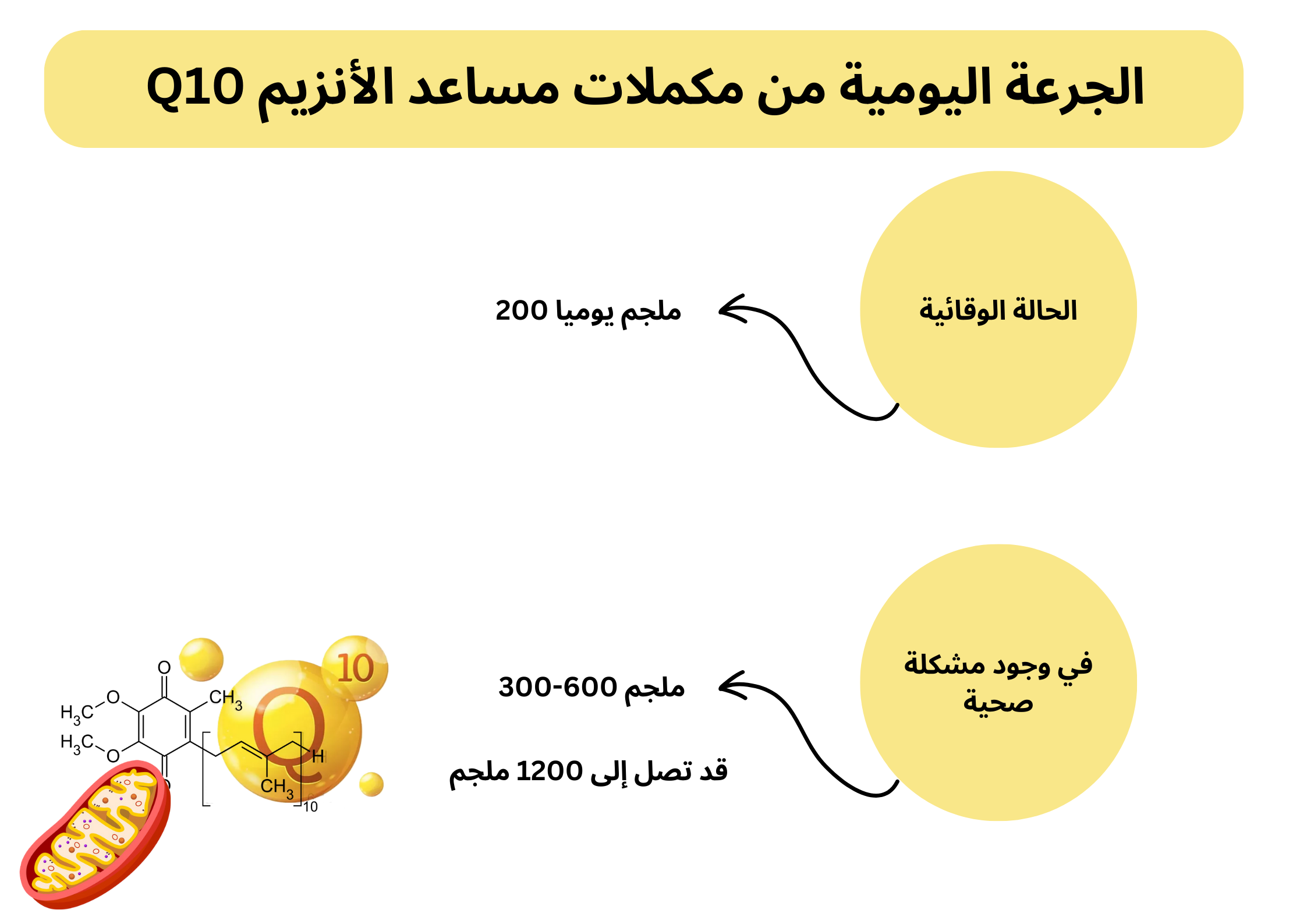 الجرعة اليومية من مكملات مساعد الأنزيم Q10 