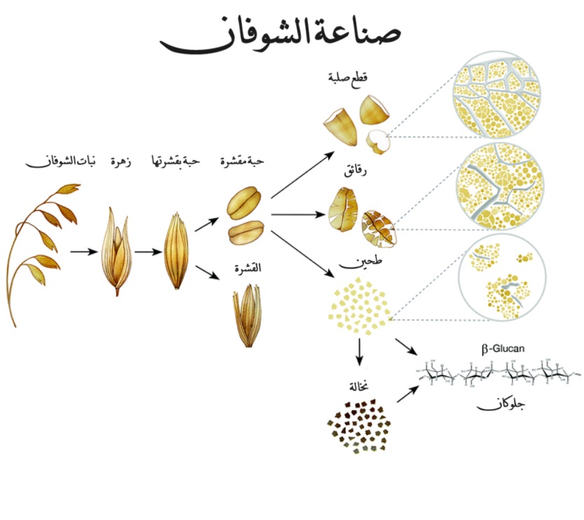 صناعة الشوفان