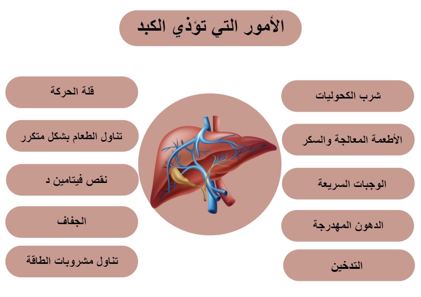 الأمور التي تؤذي الكبد	