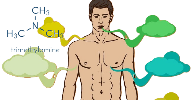 Trimethylaminurea رائحة العرق مثل رائحة السمك	