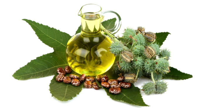زيت الخروع	