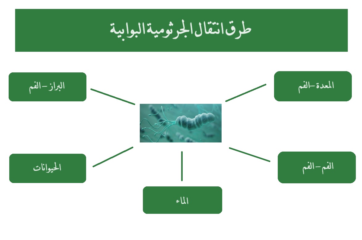 طرق انتقال جرثومة المعدة