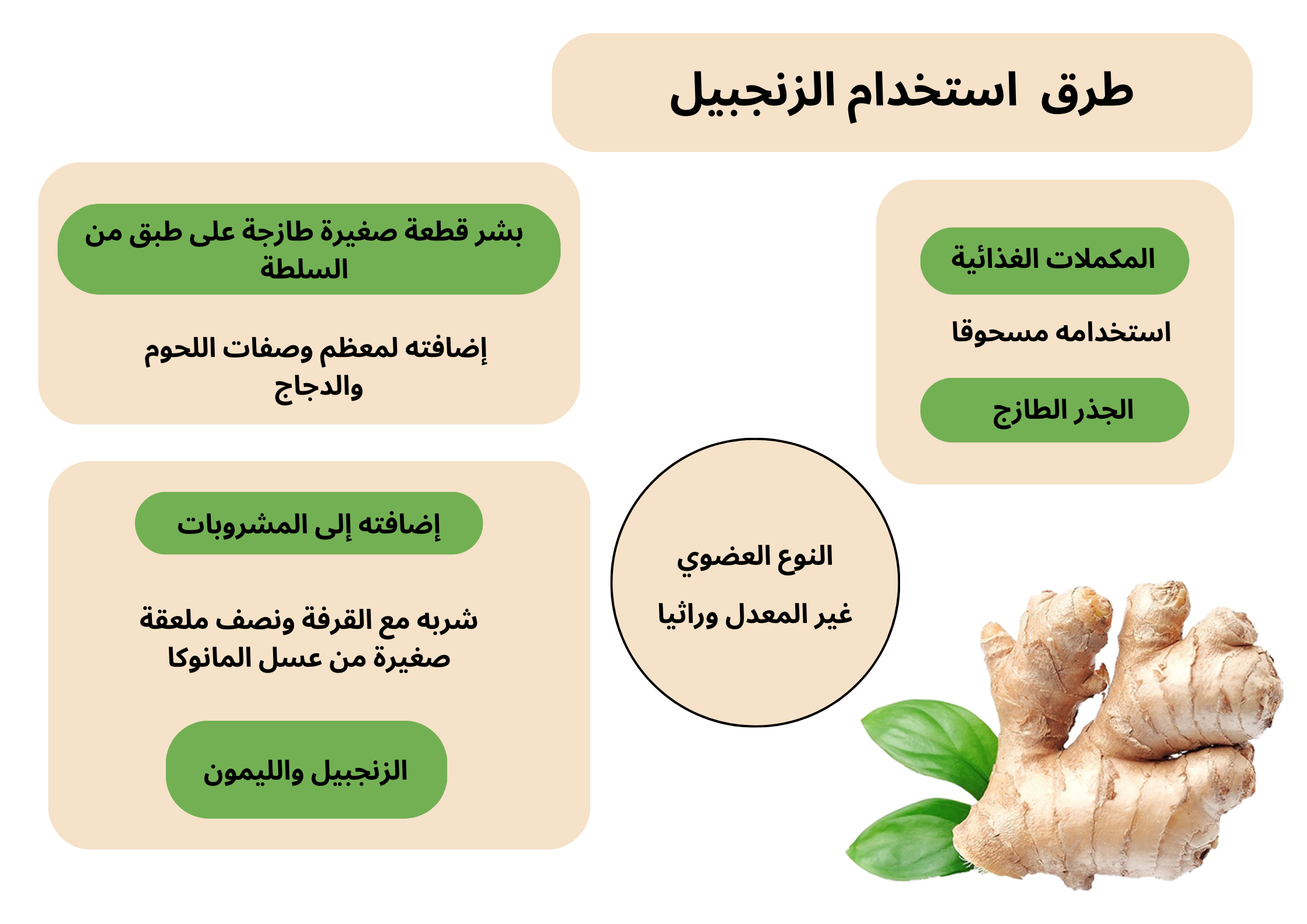 طرق استخدام الزنجبيل	
