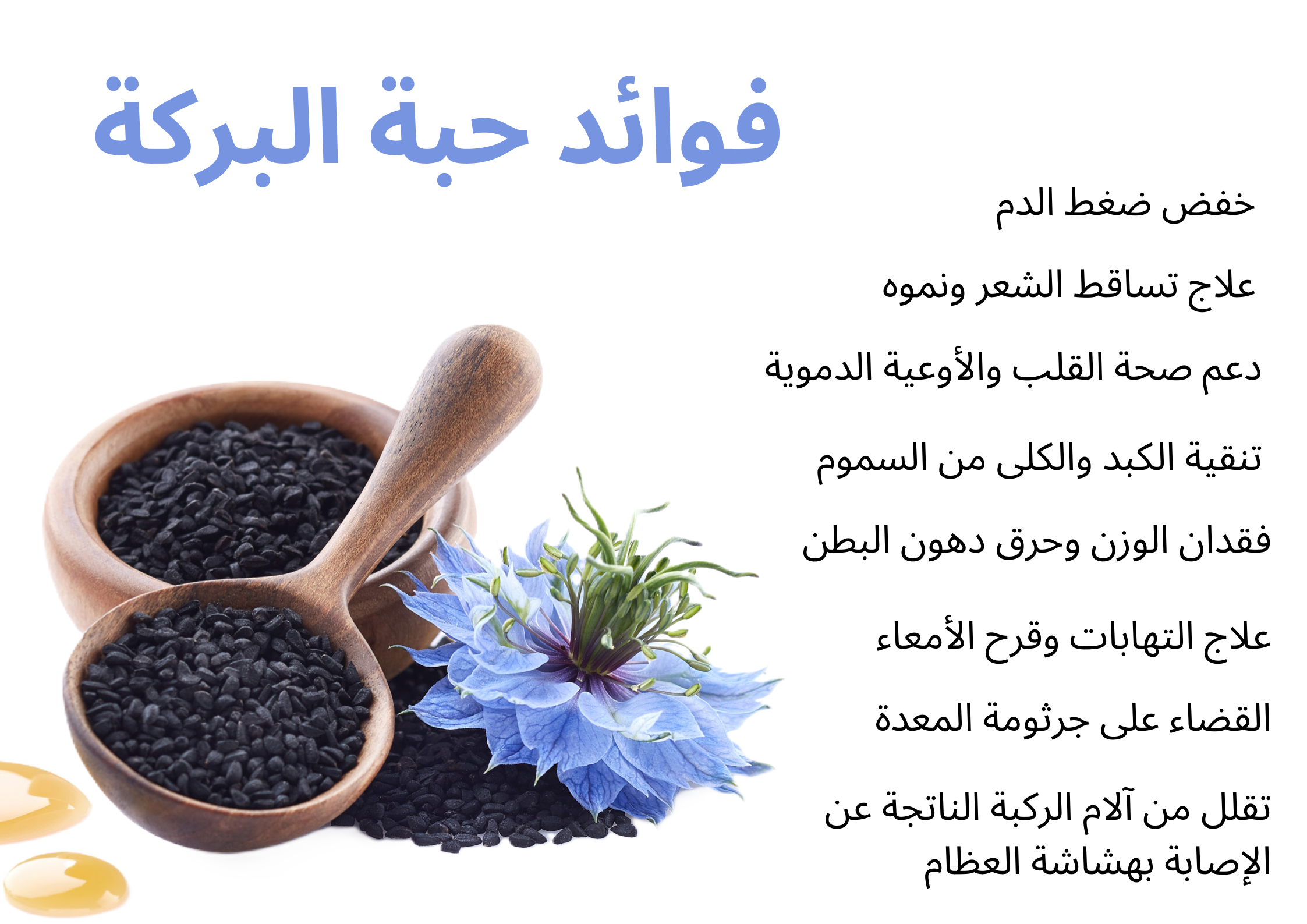 فوائد حبة البركة